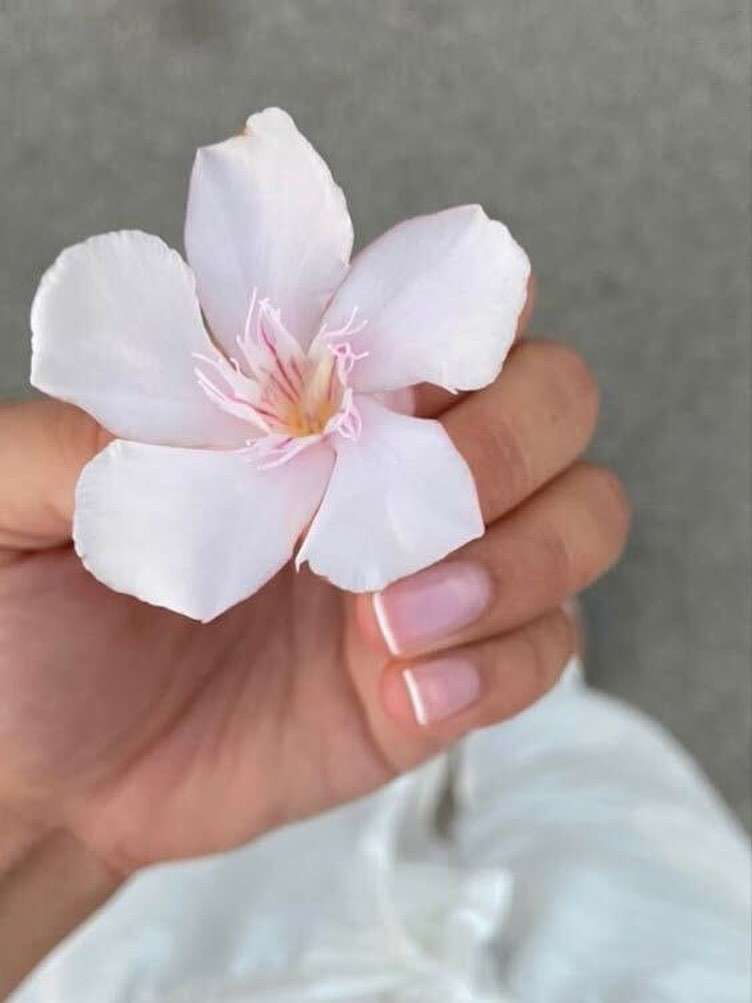 other - Réalisation Nepaline